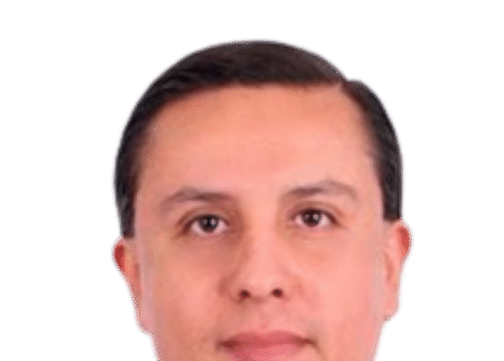 ALFONSO MALDONADO P