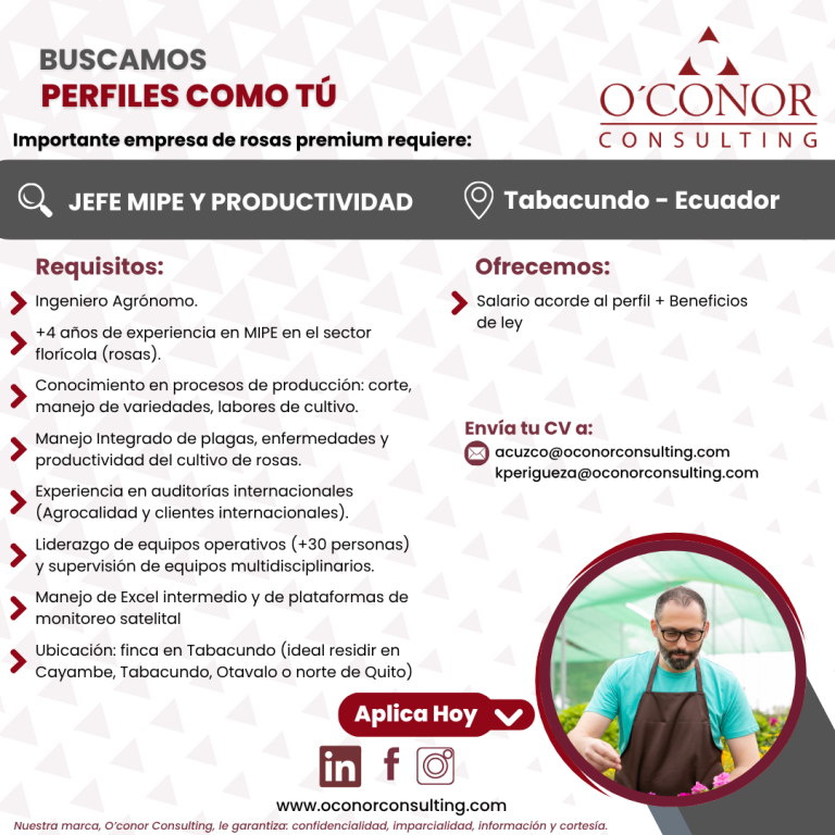 vacantes oconor 2025 (24)